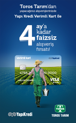 Yapı Kredi Verimli Kart