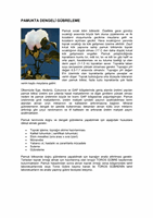 cover296709