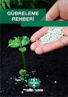 cover296709