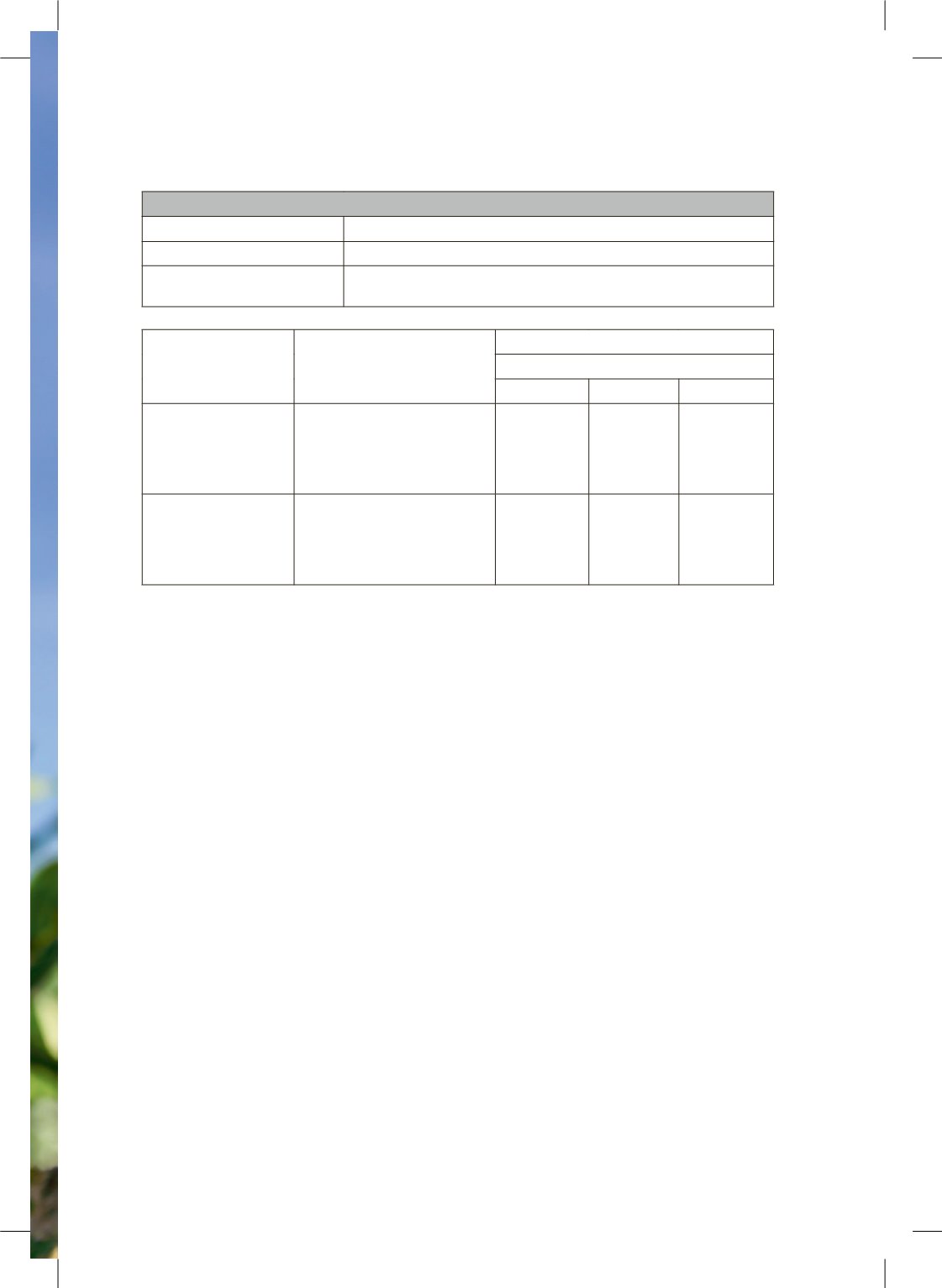 Page Background