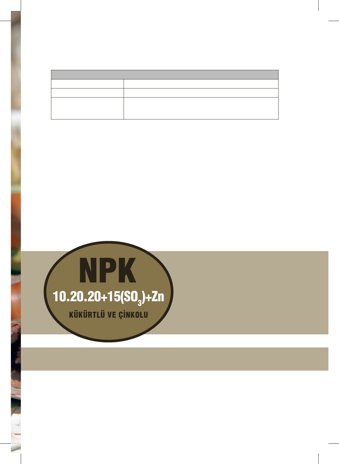 Page Background