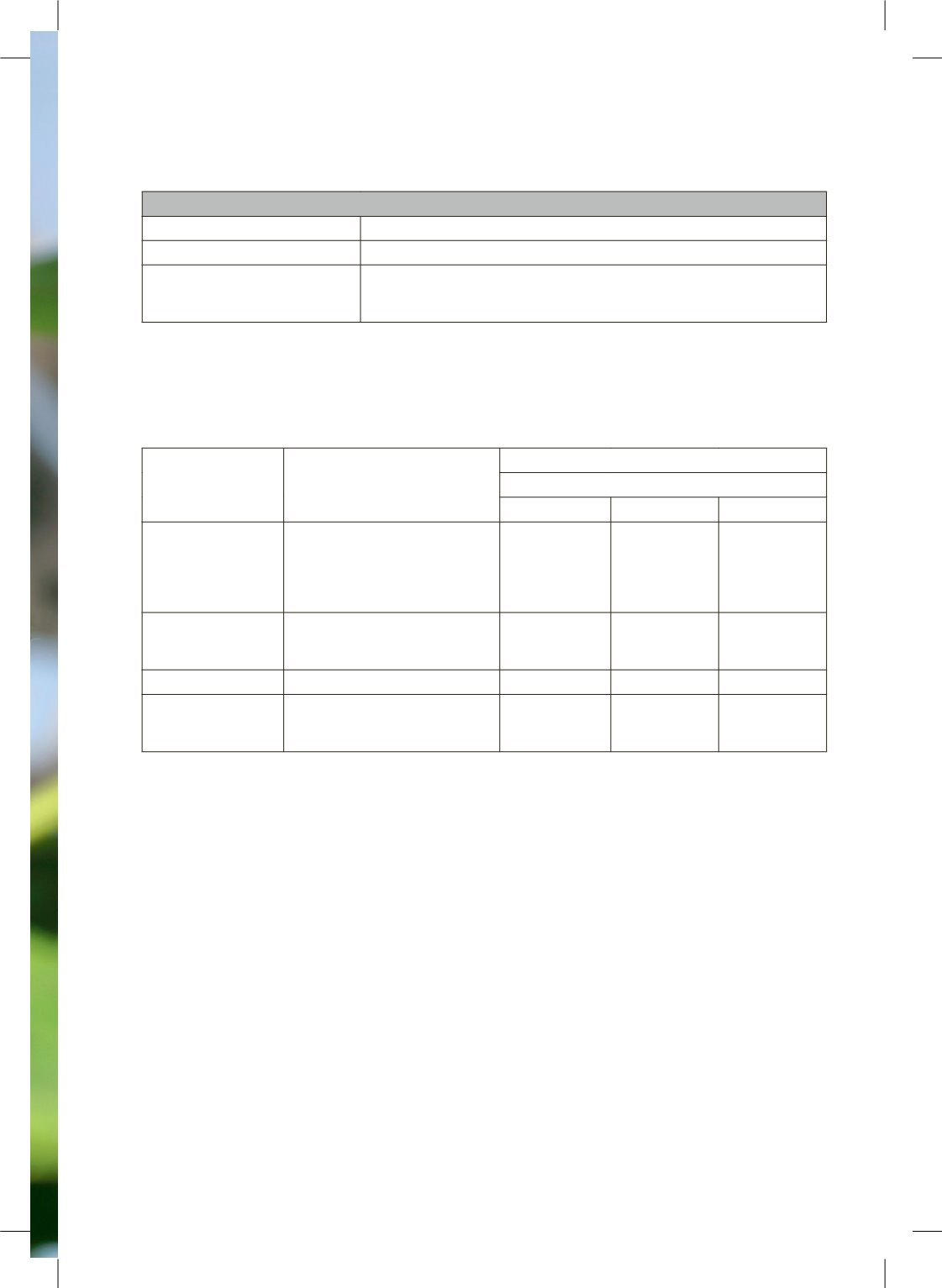 Page Background