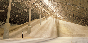 Bulk Dry Cargo Handling